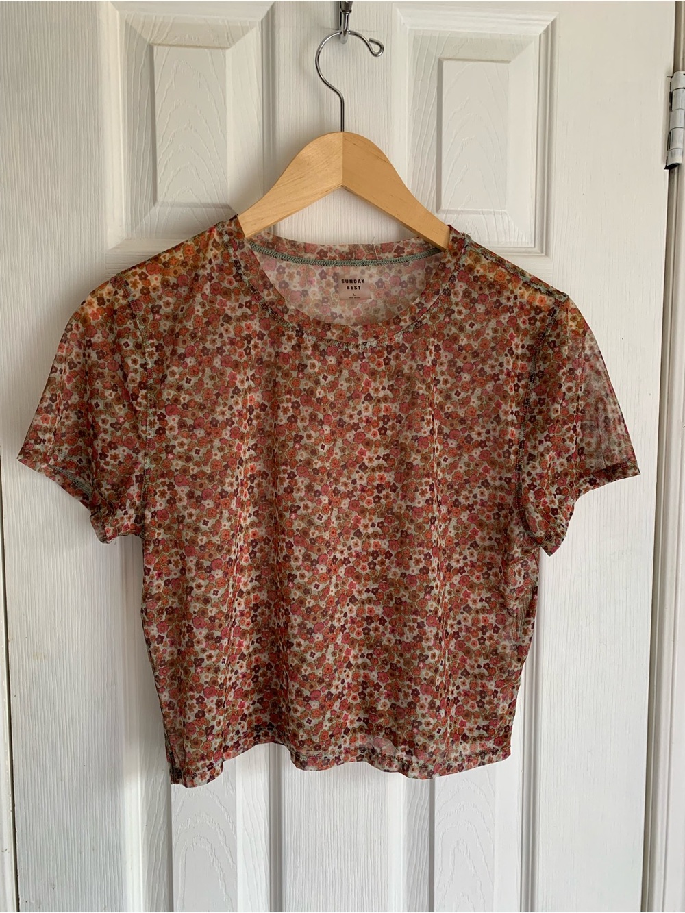Aritzia Sunday Best Floral Mesh Short Sleeve Top Y2K cropped